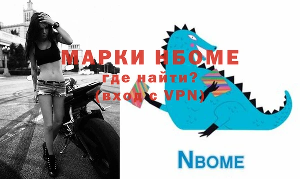 гашик Осташков