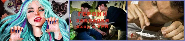 a pvp Осинники
